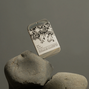 Fischersund Langdegi (Light) Discovery Set